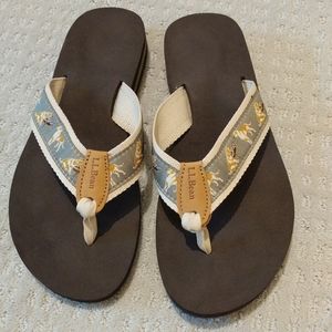 ll bean dog flip flops